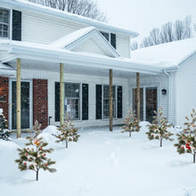 Load image into Gallery viewer, Artificial Christmas trees outdoor decor