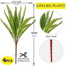 Load image into Gallery viewer, Boston Ferns 19”
