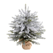Load image into Gallery viewer, Flocked Christmas Tree Burlap Base