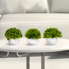 Load image into Gallery viewer, artificial potted plants coffee table decor