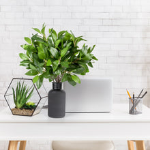 Load image into Gallery viewer, Artificial Tree Branches Office Décor