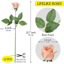 Load image into Gallery viewer, Blush Roses 22 inch long dozen pcs
