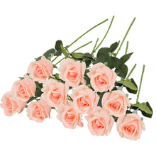 Load image into Gallery viewer, Blush Roses Dozen