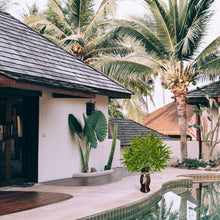 Load image into Gallery viewer, Faux Bamboo Tree Branches Outdoor Décor