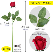 Load image into Gallery viewer, Fuchsia Pink Roses 22 inch long dozen