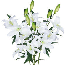 Load image into Gallery viewer, Lily Artificial Flowers White
