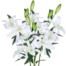 Load image into Gallery viewer, Lily Artificial Flowers White