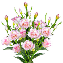Load image into Gallery viewer, Pink Eustoma