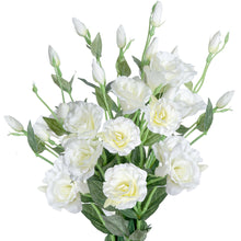 Load image into Gallery viewer, White Eustoma