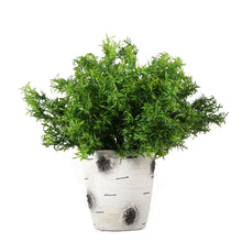 Load image into Gallery viewer, asparagus faux greenery bush UV resistant indoor outdoor décor