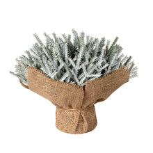 Load image into Gallery viewer, Frosted artificial plant in a burlap container
