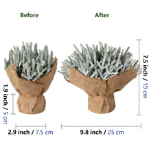 Load image into Gallery viewer, christmas flocked branches in burlap base 10 inches wide
