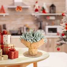 Load image into Gallery viewer, Decorative table with a potted Christmas plant and wrapped gifts in a kitchen setting.

