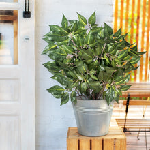 Load image into Gallery viewer, Artificial Ficus Tree Branches Potted Outdoor

