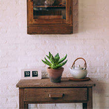 Load image into Gallery viewer, Artificial Green Aloe Vera Potted Vintage Home Décor
