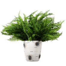 Load image into Gallery viewer, Artificial Boston Ferns Real-Touch Plastic in pot
