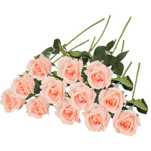 Load image into Gallery viewer, Blush Roses Dozen 
