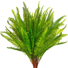 Load image into Gallery viewer, Boston Ferns
