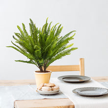 Load image into Gallery viewer, Fake Boston Ferns Kitchen Table Décor
