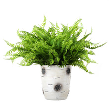 Load image into Gallery viewer, Faux Boston Ferns Light Green Real-Touch Plastic

