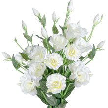 Load image into Gallery viewer, White Eustoma
