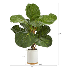 Load image into Gallery viewer, Artificial Fiddle Leaf tree 21 inches tall potted white ceramic planter
