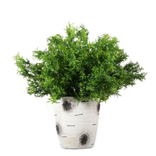 Load image into Gallery viewer, asparagus faux greenery bush UV resistant indoor outdoor décor 
